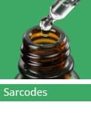 Sarcode Therapy offers safe & gentle form of Organ Therapy